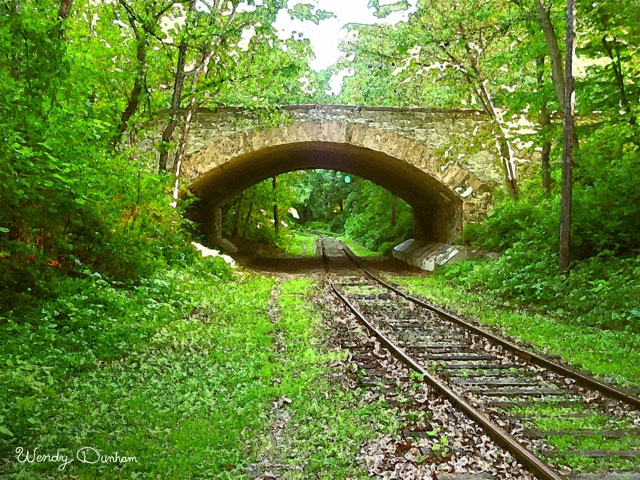 Bridge - Wendy Dunham