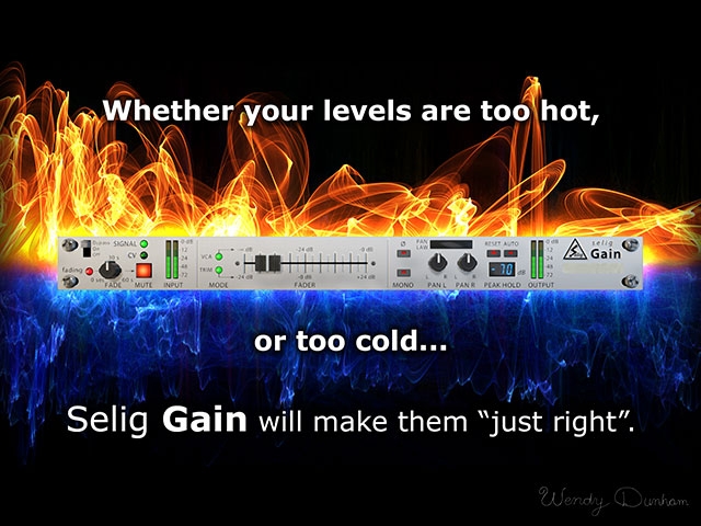 Selig Gain - Wendy Dunham